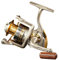 Diwa Spinning Fishing Reels for Saltwater Freshwater 1000 2000 3000 4000 5000 6000 Series Left/Right Interchangeable Trout Spinning Reel Carp Fishing Spool 10 Ball Bearings Light and Smooth (5000)
