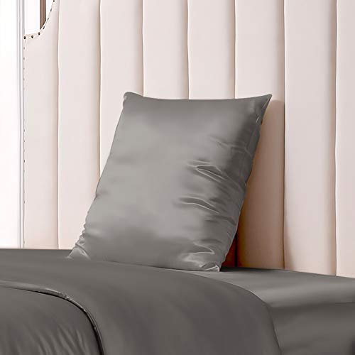 THXSILK 25 Momme Seide Kissenbezug für Haar und Haut - Maulbeerseide Kissenbezug - Hypoallergen mit Versteckter Reißverschluss - Pure Seide auf Beide Seiten … (Holzkohle, 80x80cm)