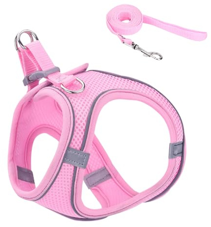 Harnais De Promenade pour Chat - Harnais Ajustable pour Promenade Et Exterieur | Accessoires pour Animaux De Compagnie pour Sécurité Aventures Extérieures Randonnée