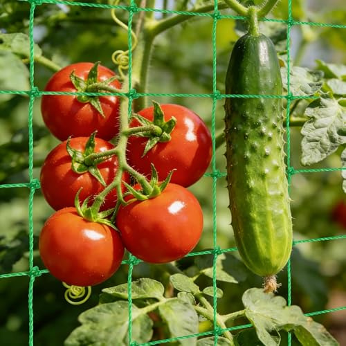 Rete per Piante Rampicanti, Rete Orto per Cetrioli Pomodori Fagiolini Rampicanti, Rete di Supporto per la guida delle piante per serra da giardino e terrazza (2.7Mx1.8M)