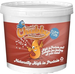 Chubby Mealworms (5 Litre), Dried Mealworms For Wild Birds, Protein Rich Dried Meal Worm High Energy for WildBirds, Reptiles, Gecko