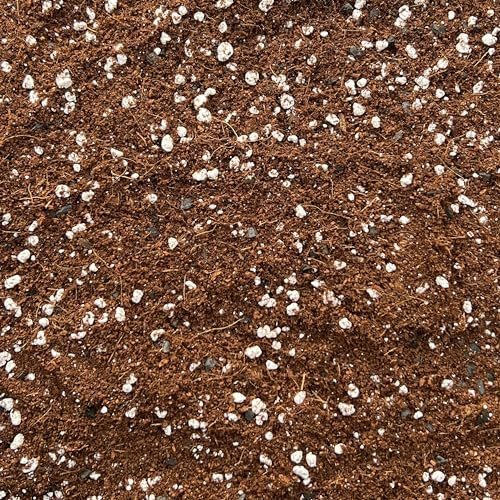 Coco Perlite Mix 70/30 with activated biochar - Enhanced Potting Soil Mix for Optimal Plant Growth and Health (1L)