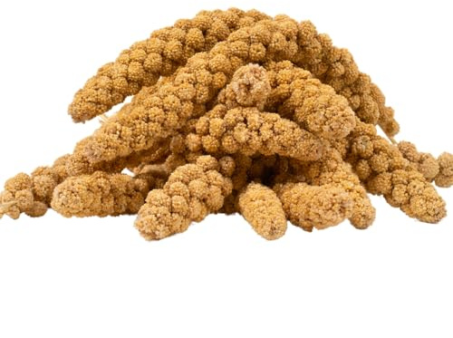 Lyra Pet® 15 kg Millet Jaune en grappes, perruches & canaris