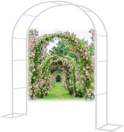 Arco per Rose Rampicanti Arco da Giardino Arco di Nozze Metallo Archi W80-350cm H220cm 230cm Padiglioni Resistente Alle Intemperie per Interni Esterni (Color : White, Size : W300x220cm(W9.8x7.2FT))