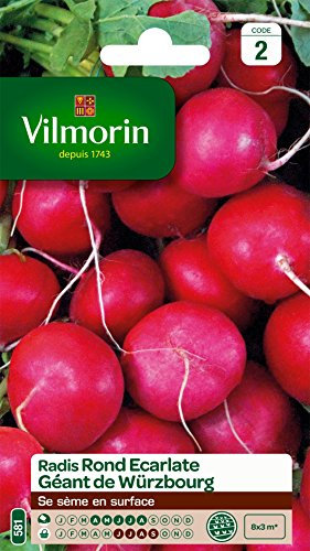 Vilmorin 3881142 Pack de Graines Radis Rond Ecarlate Géante de Wurtzbourg