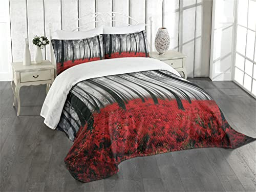 ABAKUHAUS Wald Tagesdecke Set, Mystic Waldbäume, Set mit Kissenbezügen Kein verblassen, für Doppelbetten 264 x 220 cm, Schwarz-rot-Hellgrau