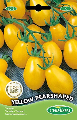 Germisem graines Tomate YELLOW PEARSHAPED