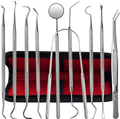Dental Kit Tools, 10 Pack Stainless Steel Plaque Remover, Dental Tools to Remove Plaque and Tartar, Oral Care Kit with Plaque Cleaner, Tartar Pick, Tooth & Tongue Scraper for Dentist, Personal, Family