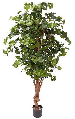 kunstpflanzen-discount.com Ginkgo Sweet konstträd med 1456 blad, höjd ca 180 cm – högkvalitativt ginkgo-konstträd