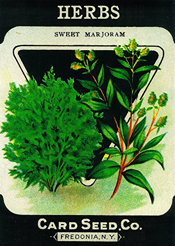 Lantern Press Herbs (sweet marjoram) Seed Packet (12x18 Art Print, Travel Poster Wall Decor)