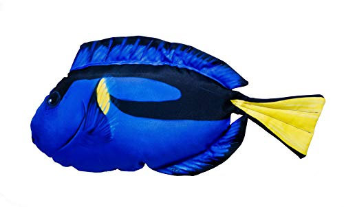 GABY Fish Pillows Königlicher Tang Kissen, mehrfarbig, Medium