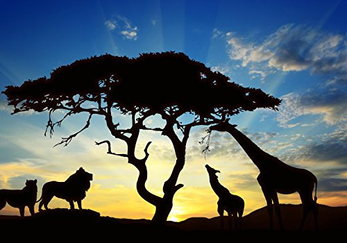 wandmotiv24 Fototapete Sonne Sonnenuntergang Afrika, 200 x 140cm - selbstklebende Vliestapete 150g, Wanddeko, Wandbild, Wandtapete, Schatten, Tiere, Savanne M0521