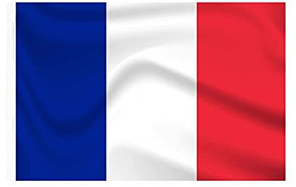 Drapeau France, Drapeau National Français, Taille 145X90cm, Tissu Polyester Avec Passant Pour La Tige (France)