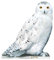 Harry Potter Pappaufsteller Harrys Eule Hedwig