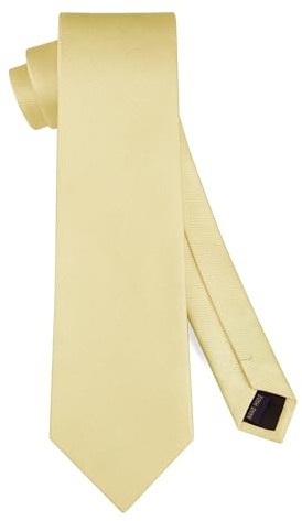 HISDERN slipsar för män enfärgad klassisk slips män formella eleganta affärsslips för bröllop fest kontor slips 8,5 cm, champagne, En Storlek