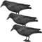 Rabe Krähe Taubenschreck Vogelschreck Taube Vogel Schreck Pflanzenschutz 36cm - 3 Stück