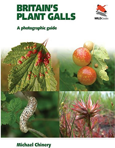 Britain's Plant Galls: A Photographic Guide (WILDGuides of Britain & Europe)