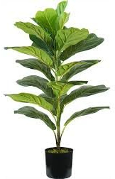Wintem Pianta di Ficus Lyrata Artificiale in Polietilene con 21 Foglie, 75 cm, Vaso con Muschio, Pianta Decorativa per Interni