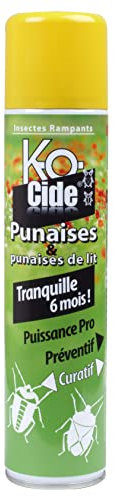 K-OCIDE - Laque Anti-Punaises et Punaises de Lit - Invasions - Foudroyant - Contre les Piqûres - 300 ml