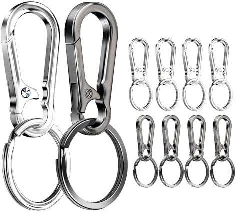 10 Stück Karabiner Schlüsselanhänger 2 Farben Karabinerhaken Schlüsselanhänger Klein Schlüsselring mit Karabiner für Aufhängen im Rucksack Autoschlüssel (Silber/Grau Schwarz)