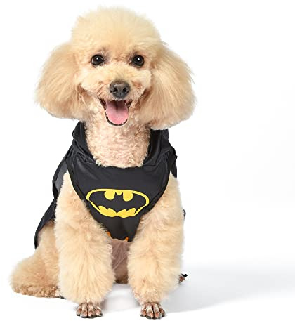DC Comics Costume per cani Batman, taglia S, il miglior costume di Halloween DC Comics Batman per cani di piccola taglia, costumi divertenti per cani, costume ufficiale Batman per animali domestici