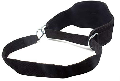 Strength Shop Chainless Dipping Belt