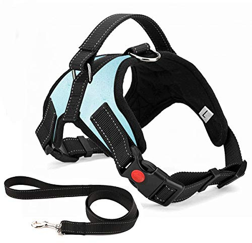 Musonic No Pull Dog Harness Breathable Adjustable Comfort Free Leash Included for Small Medium Large Dog Best for Training Walking XS LightBlue
