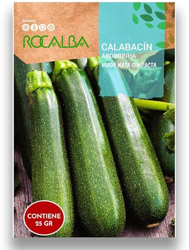 Semillas Calabacín Verde - Variedad Verde Mata Compacta | Sobre 25 GR | Semilla Profesional para disfrutar de los mejores calabacines en tu huerto | Rocalba