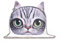 LUI SUI Mädchen Nette Katze Gesicht Umhängetasche Schöne Tier Kopf Stilvolle Cross Body Tasche