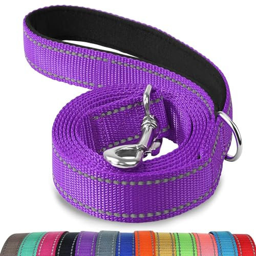 Joytale Hundeleine für Große und Mittelgroße Hunde, Doppelseitig Reflektierende Leine Hund aus Nylon mit Gepolstertem Griff, 1,8m x 2,5cm, Lila