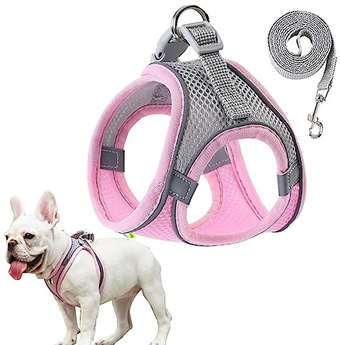 Arnés de chaleco reflectante para perro, ropa para pasear por la noche, arnés transpirable para todo tipo de clima, chaleco de seguridad para perros pequeños y medianos Geteawily