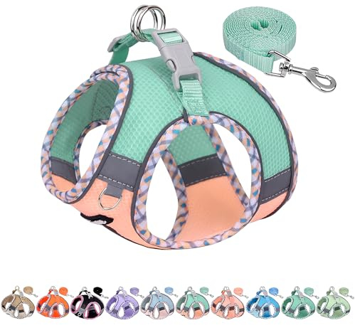AIITLE Ensemble Harnais et Laisse pour Chien Anti-Traction, Harnais réglable pour Chien avec Gilet rembourré pour Tous Les Temps, Facile à Mettre sur Les Petits Chiens Turquoise-Rose S