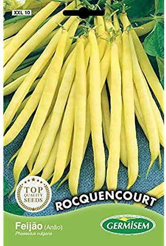 Germisem Rocquencourt Graines de Haricots Français 100 g XXL 10
