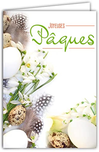 Carte Joyeuses Pâques pour Femme Homme Fête Printemps Fleurs Perce-Neiges œufs de Caille Plumes de Pintade Photo avec Enveloppe Format 12x17,5cm 62-1022