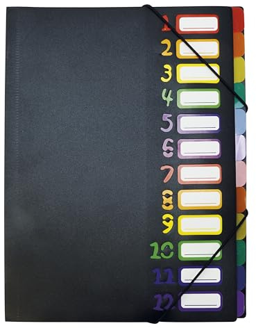 TimeTEX - Tisch-Fächermappe A4, farbig mit Verschlussgummi | 12 Fächer mit Taben & Einstecktaschen | Ordnungsmappe für Schule, Büro & Zuhause