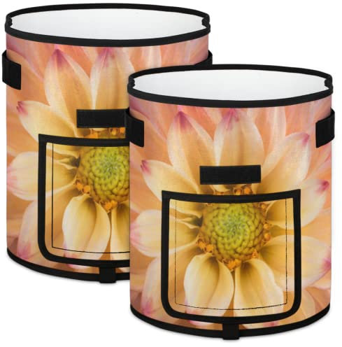 Dahlia Lot de 2 pots de fleurs pour pommes de terre avec fenêtre à rabat, sacs d'aération non tissés avec poignées pour tomates, piment, carottes, oignons, légumes
