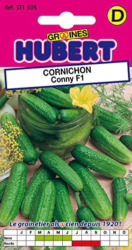 25 Graines de Cornichon Conny F1
