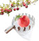 Darryy Raccogli Frutta con Sacchetto (Ø16 cm), Raccoglitore di Frutta, Raccogli Frutta Metallo, Attrezzo Raccogli Frutta, Attrezzo Raccogli Frutta per Raccolta Mele-Agrumi-Pere-Pesche ECC