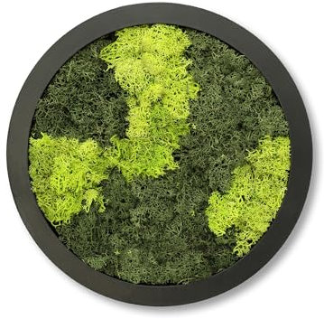 comforder Quadro Muschio Stabilizzato Rotondo (ø 27 cm), Muschio Stabilizzato con Cornice in Legno, Muschio Vero per Decorazione da Parete Soggiorno