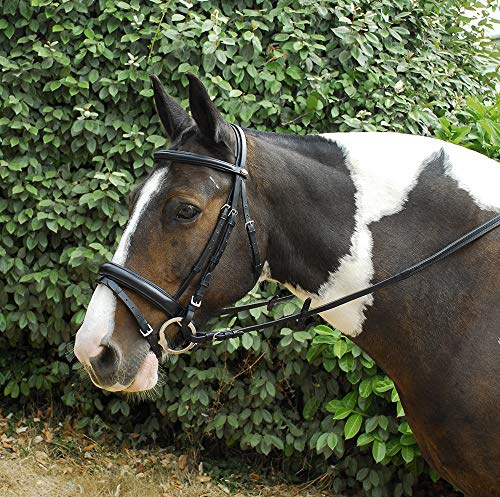 Windsor Leather Comfort Horse Pony Snaffle Bridle, Flash Noseband Cob, Black