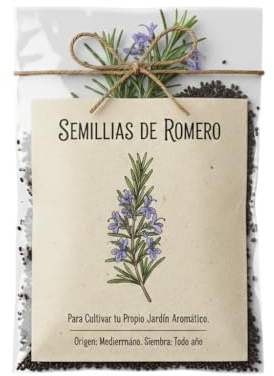 Romero para Macetas y Jardines Soleados | Semillas Aromáticas de Alta Germinación DECOALIVE