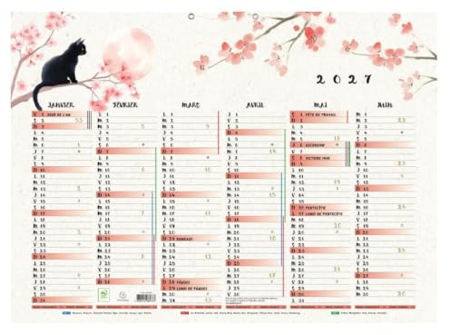 Exacompta - Calendrier Sapporo Semestriel 55x40,5cm Multicolore - 2027