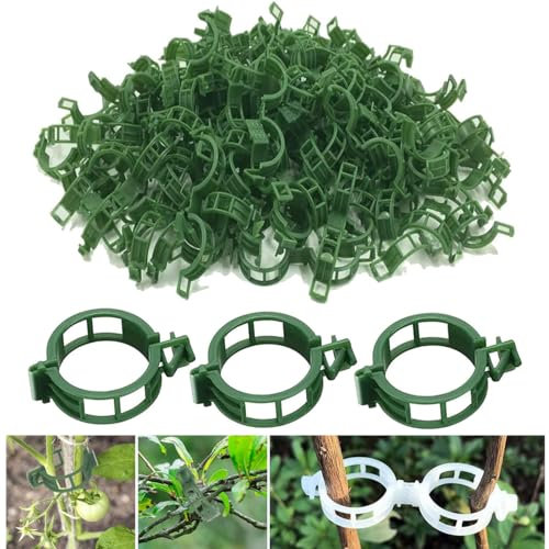 MAFHVV 150Stück Pflanzenclips Rankhilfe, Pflanzenstützen für den Tomatenclips, Rankhilfen für Kletterpflanzen Pflanzenklammern, Blumen klammern für Gemüse Tomate Pflanzen Befestigung (Grün)
