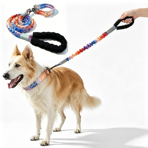 Laisse Chien, Longe pour Chien, Laisse Anti Chocs pour Chiens avec Amortisseur et Collier Inclus, Laisse pour chienes avec Poignée Confortable Laisse Anti Traction Chiens de Taille Moyenne à Grande