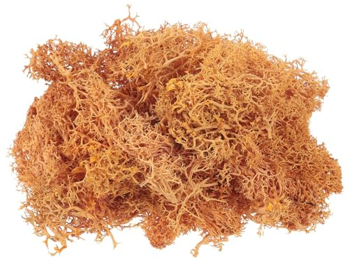 PATIKIL Muschio Finto 3,5 OZ, Muschio Renna Conservato Muschio Artificiale Centrotavola Lichene Decorazione Muschio Finto per Piante Vaso Artigianato Natale, Arancione