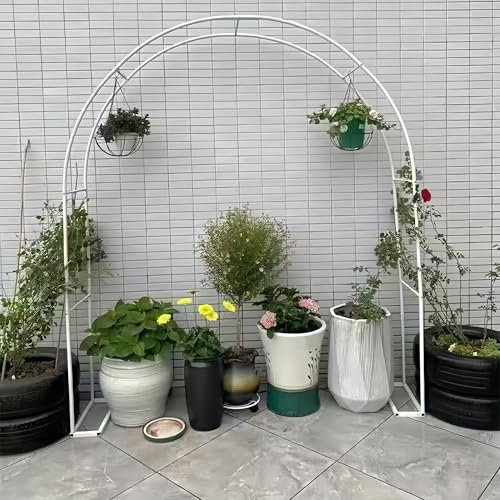 Romantico giardino di rose arco ferro padiglione per piante rampicanti e ortaggi