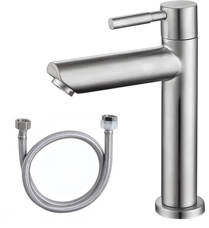 Robinet Deau Froide Robinet Mitigeur Salle de Bain Lave Main Eau Ffroide en Acier Inoxydable Adapté de Lavabo Salle Bain d'invités avec Tuyau en Acier Inoxydable