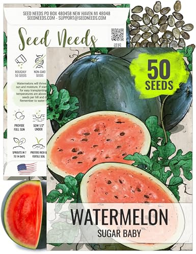 Seed Needs Watermelon Seeds for Planting Sugar Baby Watermelons - Non-GMO Heirloom & Untreated - Grow an Outdoor Home Grown Garden Filled with Sweet Fruits (1 Pack)