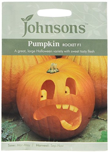 Johnsons Seed Pumpkin Rocket F1 Seed 20052