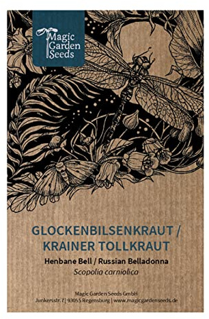 Bell henbane (Scopolia carniolica) - ca 20 frön flerårig vildblomma gammal medicinalväxt häxört giftig växt